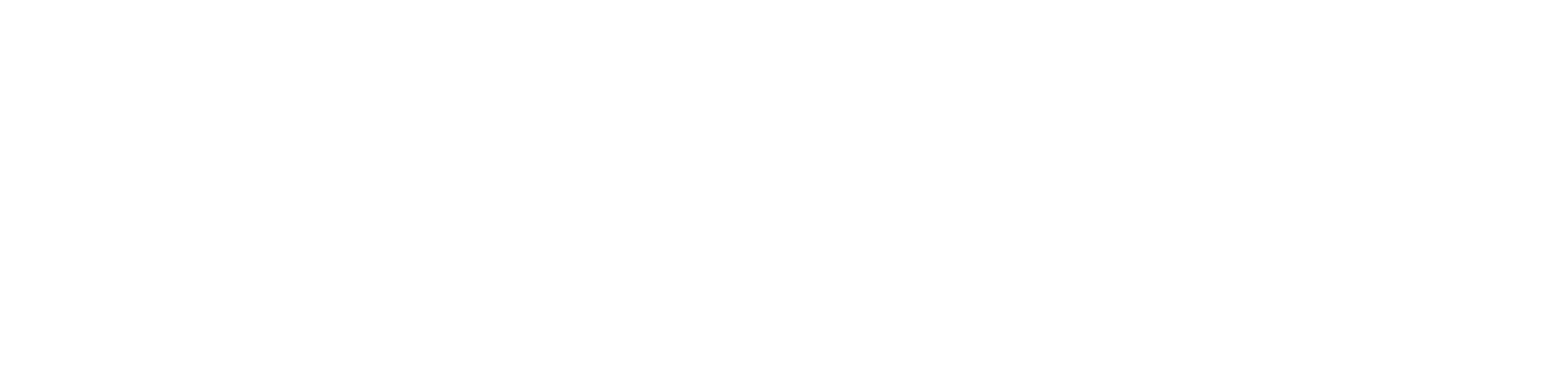 Teamsoft-Logo